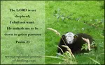 Psalm 23, a famous prayer, read by Jews and Christians. The words for the psalm and hymn The Lords My Shepherd. What is the meaning? My interpretation. 