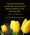 Easter Jesus is the Easter story in the Bible. A poem about the resurrection of Jesus. The tomb is found empty. He is risen. Rhyming. ressurection (sic)