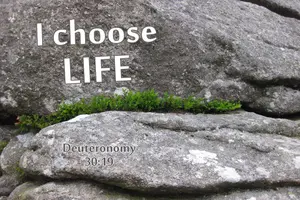 I found myself thinking thoughts of death and I replaced them with I choose life, I choose blessings. Where to find the bible scripture verse for choosing life or death, blessing or cursing.