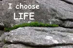 I found myself thinking thoughts of death and I replaced them with I choose life, I choose blessings. Where to find the bible scripture verse for choosing life or death, blessing or cursing.