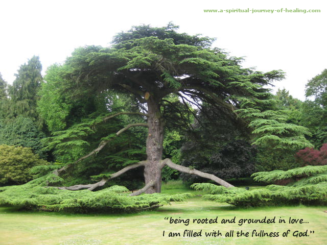 rooted_in_god