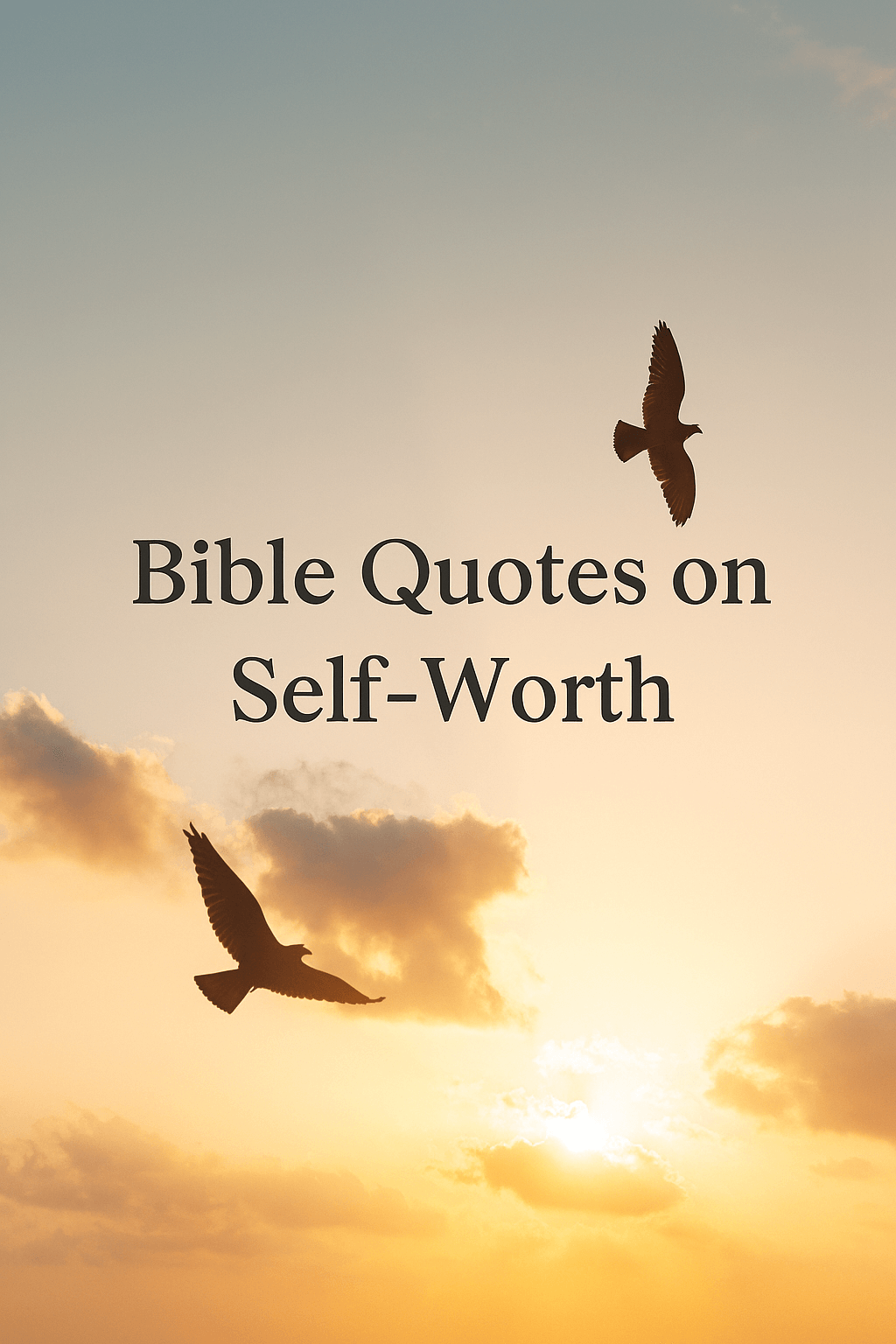 The bible doesn't use the term self worth, but communicates our value in God's eyes. bible quotes for self worth