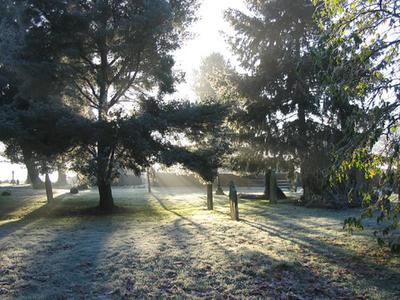 Misty Graveyard (c)David Manser 2014