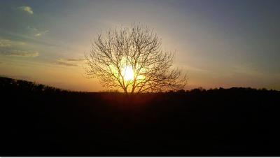 Burning bush by Tim Sumpter